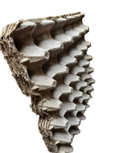 Charger l'image dans la galerie, Egg tray flat carton oeufs alveoles